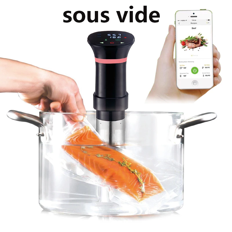 جهاز توزيع غمر للطباخ الدقيق ب - مراجعة Sous Vide Immersion وسعره