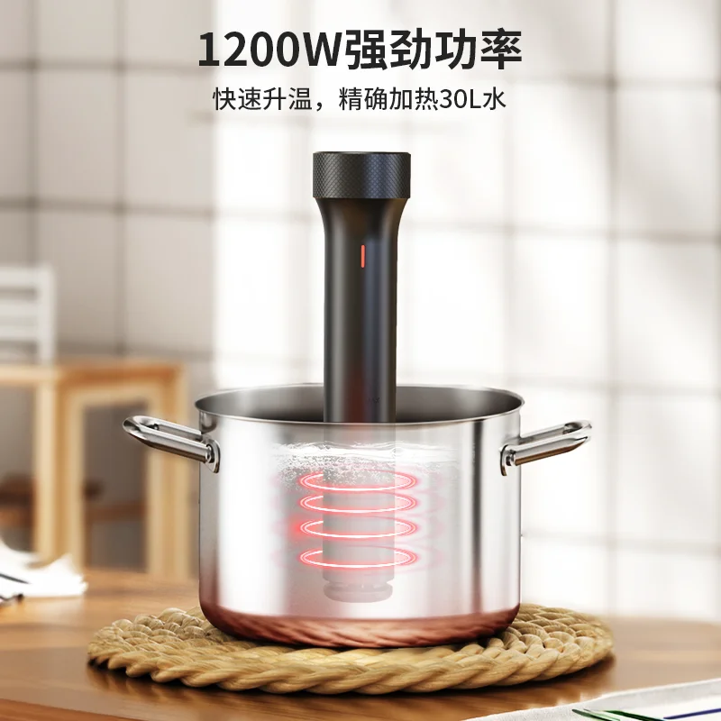 جهاز توزيع غمر للطباخ الدقيق 1 - مراجعة Sous Vide Immersion وسعره