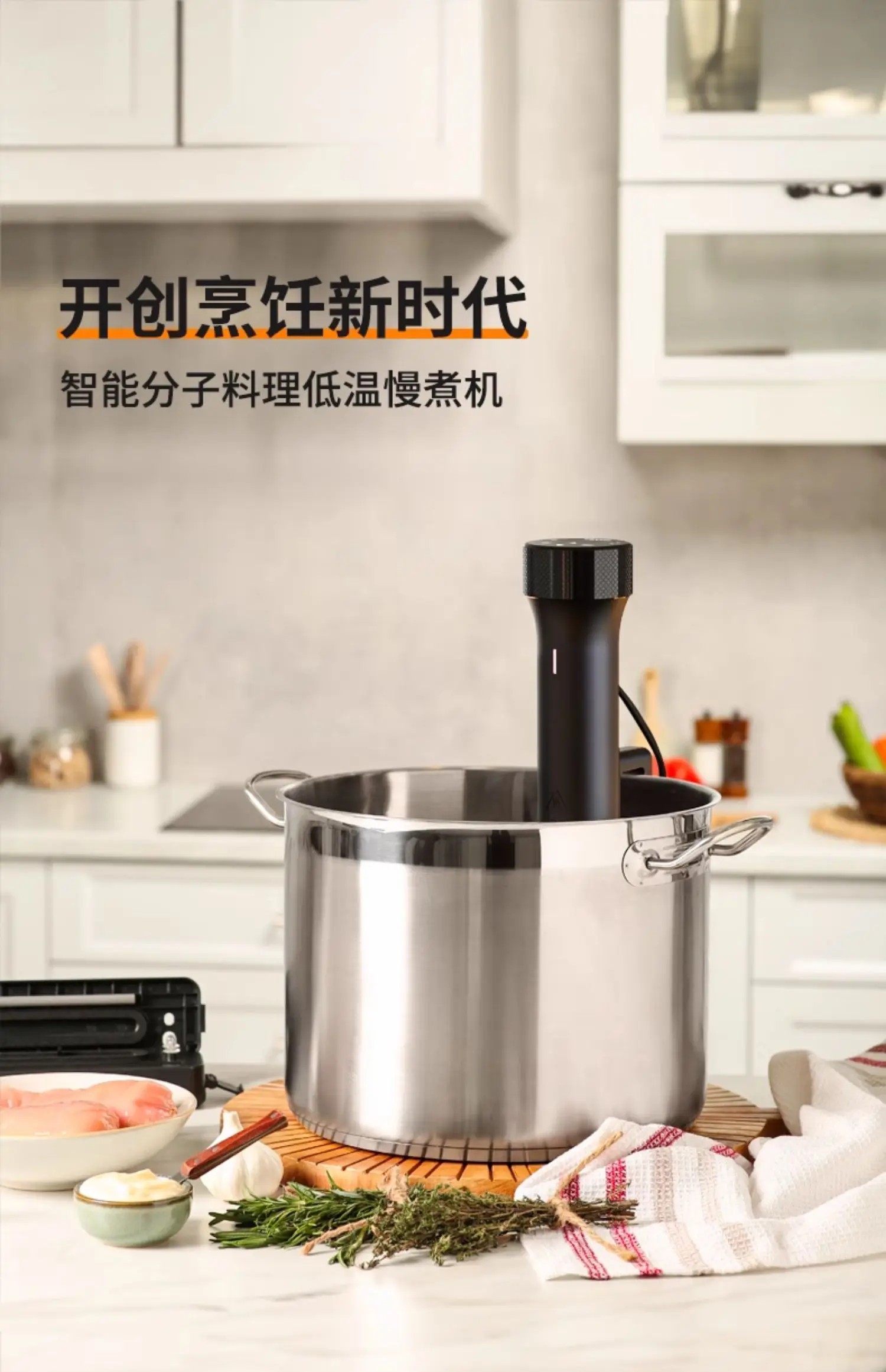 جهاز توزيع غمر للطباخ الدقيق 1 - مراجعة Sous Vide Immersion وسعره